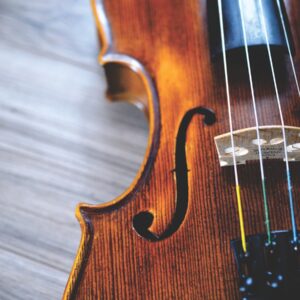 Stentor Conservatoire violin 4/4 — bow & case