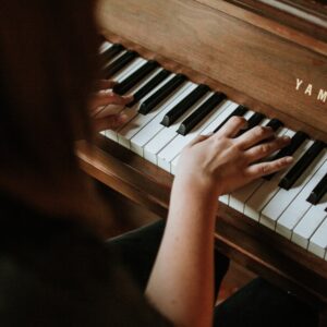 Roland JUNO-DS88 — weighted keys, gig bag